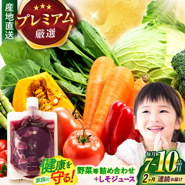 【ふるさと納税】【全2回定期便】【プレミアム】野菜・果物・きのこ詰め合わせ 7〜10品目 / 野菜 やさい 果物 くだもの フルーツ ふるーつ きのこ 旬 新鮮 セット / 諫早市 / 松尾農園 [AHAY017]