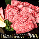 【ふるさと納税】 極和王シリーズくまもと黒毛和牛 焼肉バラ 500g A4-A5 ランク 焼肉 焼き肉 国産牛 和王 黒毛和牛 和牛 牛 牛肉 お肉 肉 国産 熊本県産 冷凍 送料無料