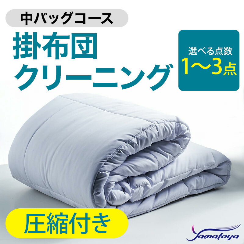 【ふるさと納税】掛布団クリーニング (1〜3点パック) 圧縮付き 中バッグコース 1〜3点 圧縮付き 丁寧 丸洗い セミダブル 掛け布団 寝具 こたつ 丸洗い クリーニング シーツ 高品質ヤマトヤクリーニング 糸魚川 帰省 年末年始 寝具 布団クリーニング
