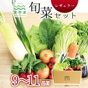 【ふるさと納税】《 レビューキャンペーン 》京丹波 旬菜セット レギュラー 9～11品目 野菜 詰め合わせ 京都 丹波 京丹波町産 産地直送 京野菜 減塩 レシピ ※北海道・沖縄・その他離島は配送不可