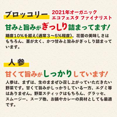 ふるさと納税 香南市 野菜セット まさに旬 ほっこり温野菜セット sy-0006 |  | 02