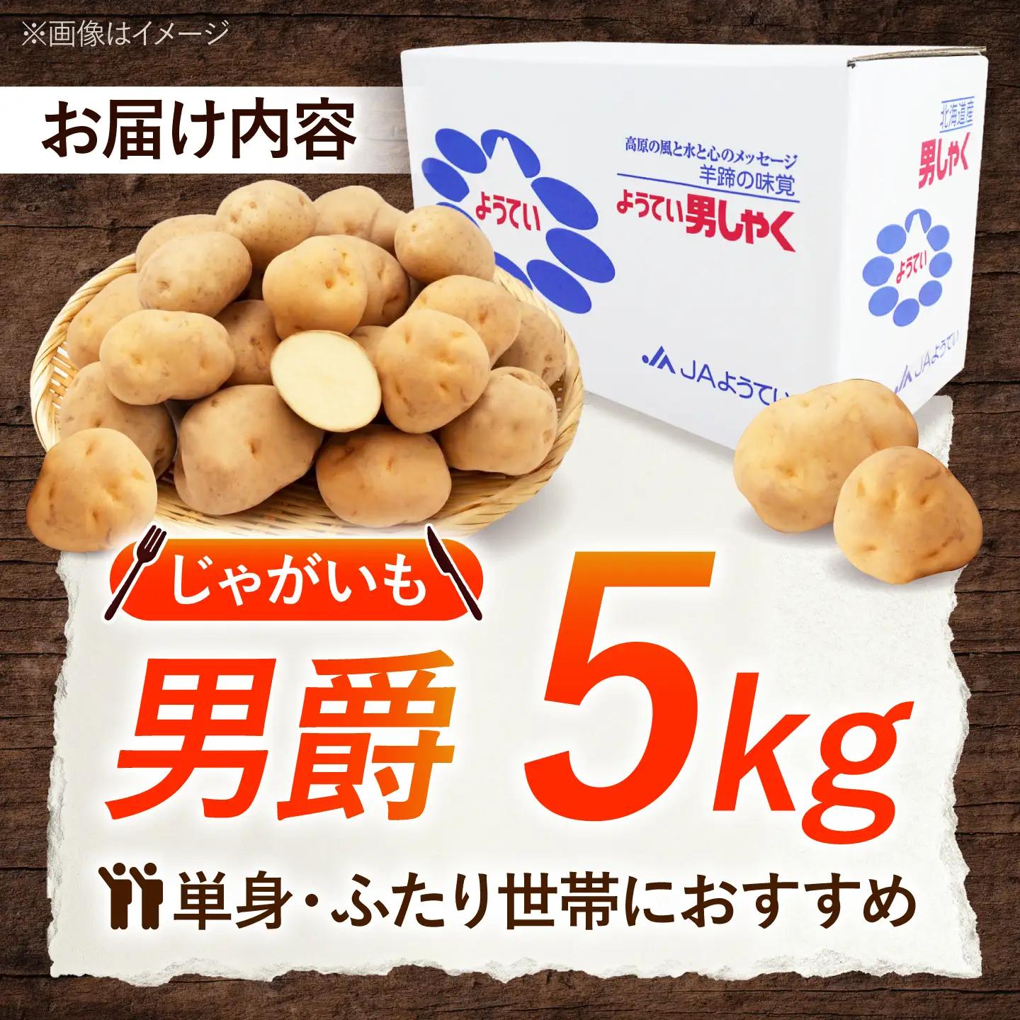 じゃがいも 男爵芋 5kg | じゃがいも ジャガイモ 男爵芋 野菜 季節の野菜 北海道 産地直送 先行予約 | 株式会社Aコープようてい[BPAT001]