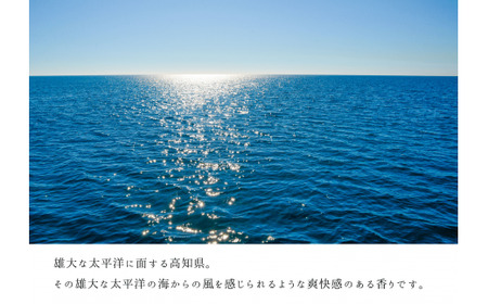 アロマスプレー ～ OCEAN ～ ★ 香りの教室 帆南 ★