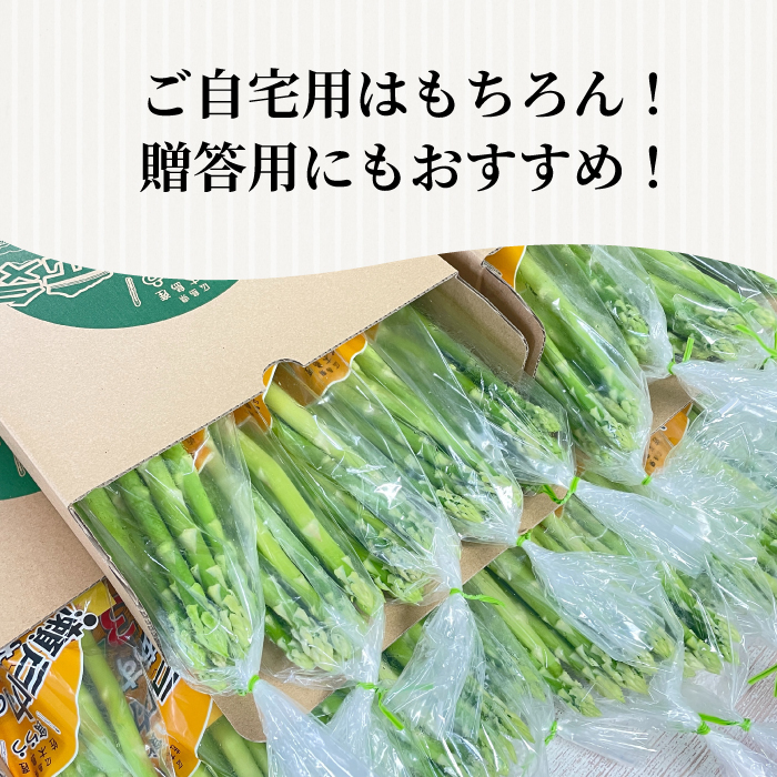 《2027年2月中旬発送》春芽アスパラガス 約1kg （約200g×5袋） 先行受付 アスパラ あすぱら グリーンアスパラ 春芽 甘い 新鮮 野菜 サラダ ソテー ヘルシー 旬 春 ギフト 贈答用 広