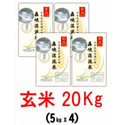 ふるさと納税 諫早市 令和7年産　にこまる　玄米　20kg(5kg×4)　長崎県諫早市産