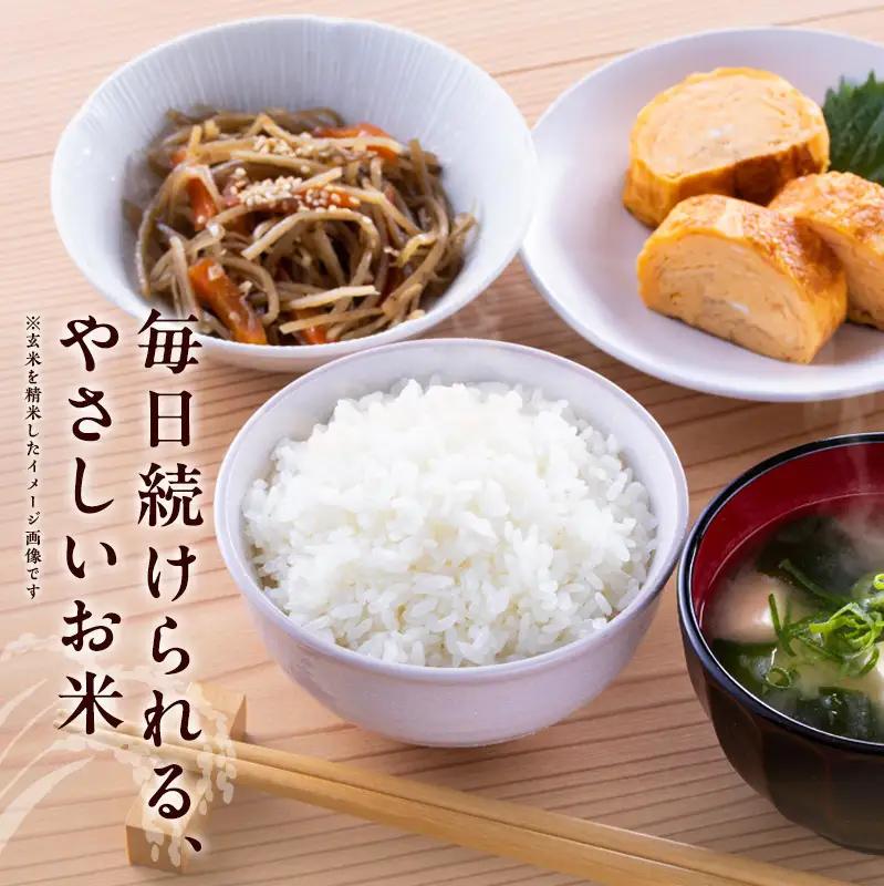 米 令和8年産 神大のおこめ（特別栽培米ヒノヒカリ）玄米30kg お米