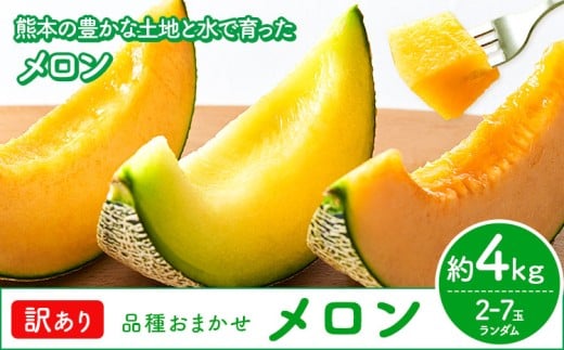 【先行予約】メロン 訳ありメロン 品種おまかせ 約4kg 2-7玉 ランダム 株式会社Foody’s 食彩たかみ《2026年5月下旬-7月下旬頃出荷》 おまかせ ご家庭用 メロン フルーツ 菊池市産 熊本県産 九州産 冷蔵 送料無料