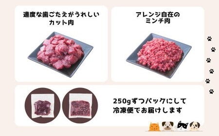 【6回定期便】 森のジビエ for PET 鹿肉 2kg ペットフード 犬 猫 A-JK-C02H