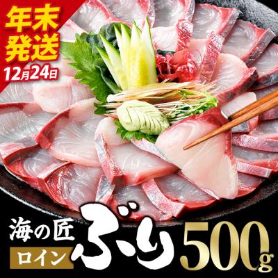 ふるさと納税 佐伯市 ＼2026年12月24日発送!先行予約/海の匠 ブリ スキンレスロイン (500g)