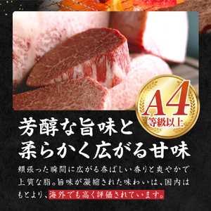 宮崎県西ノ原牧場・なかにしプレミアム和牛リブアイステーキ 400g 牛肉 黒毛和牛 国産 A4 A5 ステーキ ステーキ肉 希少