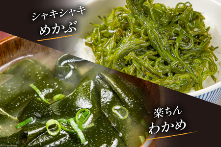 海鮮 詰め合わせ 三陸 海の恵み 5種 セット