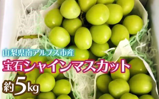 【2025年発送先行予約】完熟 宝石シャインマスカット約5kg ALPCZ006