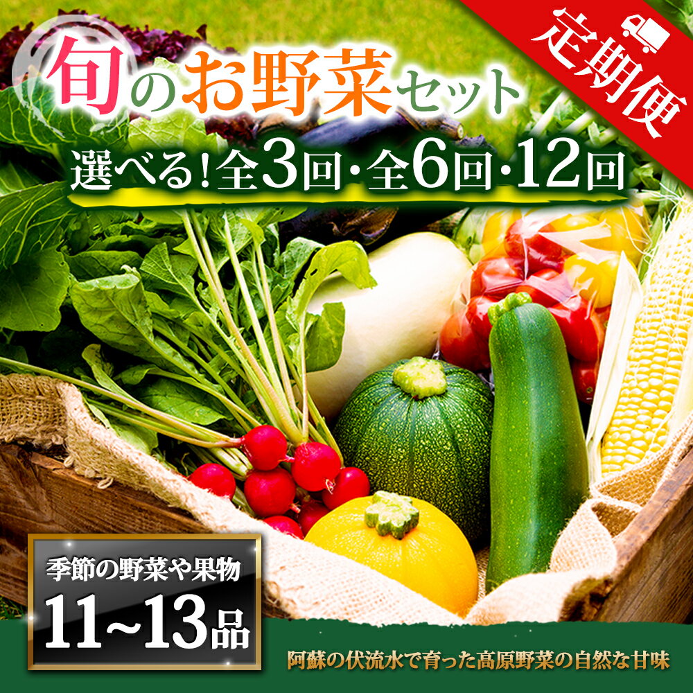 【ふるさと納税】【定期便】畑から直送 季節のお野菜セット XLサイズ 3回 6回 12回 定期便 野菜 11〜13品 定期便 ふるさと納税 全6回 全12回 詰め合わせ セット 新鮮 減農薬 高原 旬 産地直送 野菜 果物 フルーツ 採れたて 甘い 美味しい 人気 安心 安全 熊本県 阿蘇市
