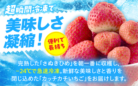 【冷凍いちご】森のいちごのカッチカチいちご【さぬきひめ】　2kg_mk035-008