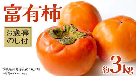 【 お歳暮 熨斗付き 】富有柿 約3kg 【2025年12月上旬発送開始】(茨城県共通返礼品：大子町) 果物 フルーツ 旬 季節限定 期間限定 贈答用 ギフト 贈り物
