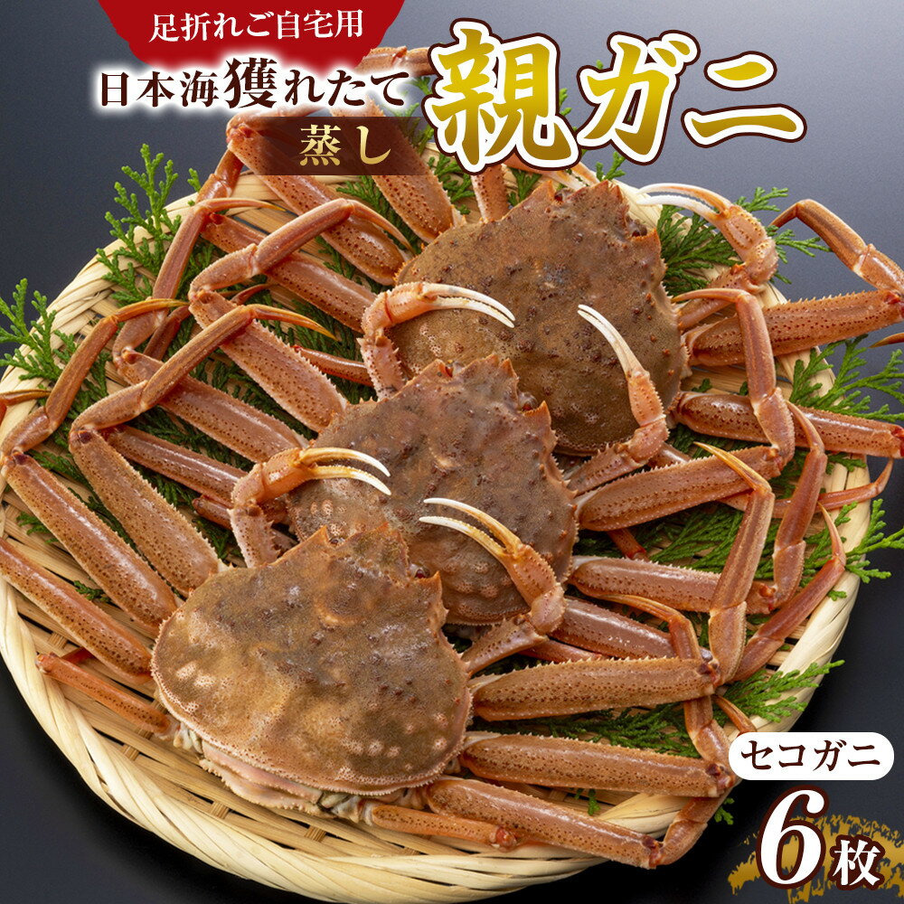【ふるさと納税】120.【先行予約】【活き】訳あり 足折れ ご自宅用 日本海獲れたて親ガニ（セコガニ）6枚 ※2025年11月上旬～12月下旬頃に順次発送予定 | 家庭用 松葉ガニ 松葉蟹 蟹 かに 甲殻類 ズワイガニ 鳥取県 北栄町 おすすめ 人気 送料無料