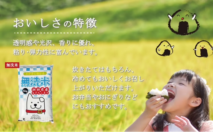 【定期便3ヶ月】令和7年産　秋田県産米「あきたこまち（無洗米）」 5kg（5kg×1袋）150P9204【(有)真正ファーム】