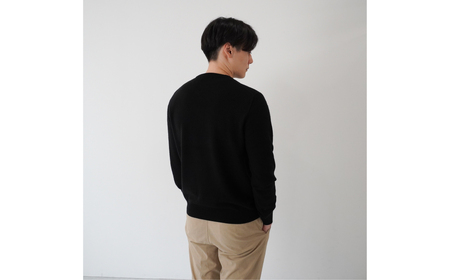ベビーカシミヤ　クルーネック　メンズ　Lサイズ　【ブラック】 【178001-3】 ｶｼﾐﾔ 天然素材 ｾｰﾀｰ 服 国産 国内製造 ﾍﾞﾋﾞｰｶｼﾐﾔ