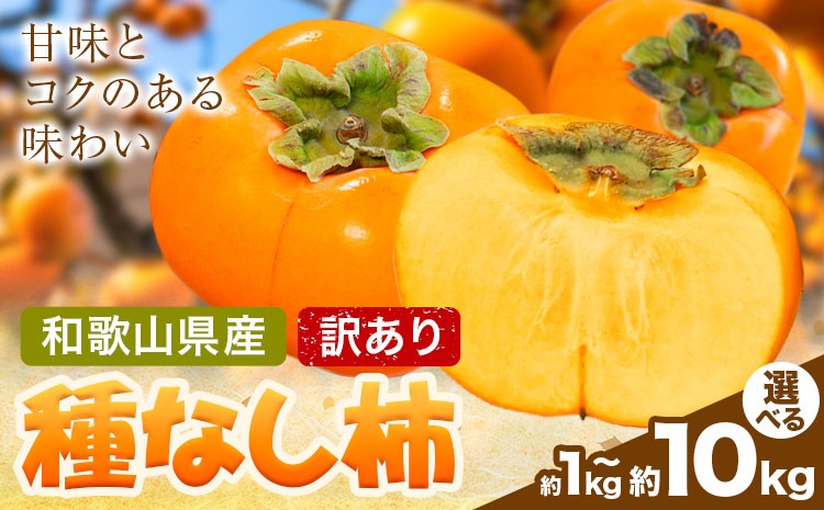 
                  家庭用 種なし柿 選べる 約1kg 約2.5kg 約5kg 約7.5kg 約10kg 訳あり 池田鹿蔵農園《10月上旬-12月上旬頃出荷》和歌山県 日高町 刀根早生柿 平核無柿 ひらたねなしかき カキ 種なし柿
                
