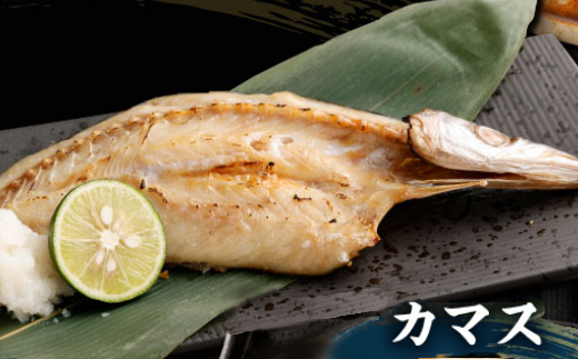 【訳あり】地魚干物セット 約1.5kg お楽しみ 干物 おかず おつまみ 魚 魚介類 惣菜 傷あり ご家庭用 冷凍 10000円 1万円 送料無料