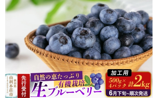 《先行受付》【加工用】田口農園 秋田県産 ブルーベリー 生 合計2kg（500g×4パック） [ブルーベリー 有機栽培 加工用 新鮮 安心 安全 大粒 甘い あまい おいしい 美味い 秋田県 由利本荘市 田口農園]