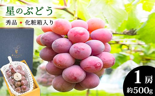 
＜令和6年夏発送・数量限定＞自然が育んだ「星のぶどう」クイーンニーナ 1房(約500g)［ 秀品・化粧箱入り ］ 【島根県 雲南市 フルーツ 果物 デザート ブドウ 葡萄】
