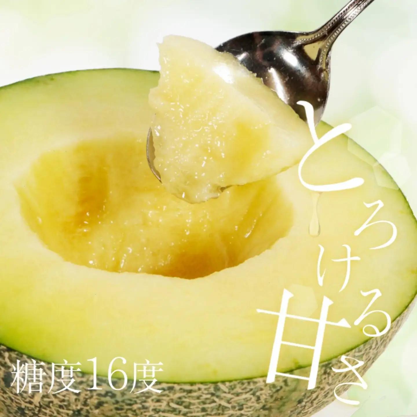 アムスメロン 2玉 メロン 【6月下旬～7月中旬発送】