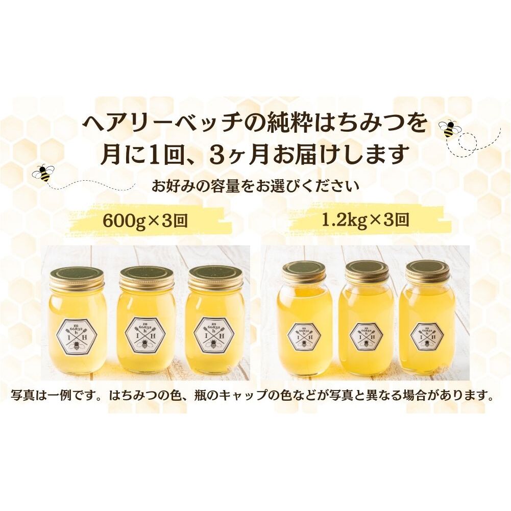【定期便3回】むろうはちみつ 奈良産 純粋はちみつ へアリーベッチ (600g×3回)／ 66832 室生 国産 蜂蜜 ハニー ギフト お取り寄せ ふくさきわう 奈良県 宇陀市 ふるさと納税_イメージ