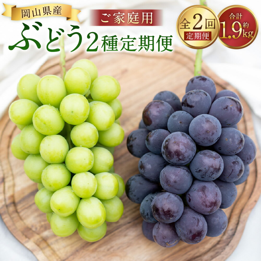 【ふるさと納税】【2回定期便】家庭用 ピオーネ or オーロラブラック 2房（900g以上）&家庭用 シャインマスカット 2～3房（1kg以上） マスカット ぶどう ブドウ 葡萄 くだもの 果物 果実 フルーツ 冷蔵 国産 岡山県産 美咲町 送料無料 【2026年7月下旬から順次発送予定】