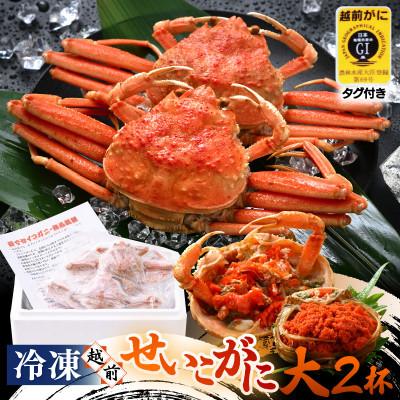 ふるさと納税 美浜町 ≪冷凍≫漁期に獲れた越前セイコガニ大2杯を茹でてそのまま-60℃で急速冷凍しました!