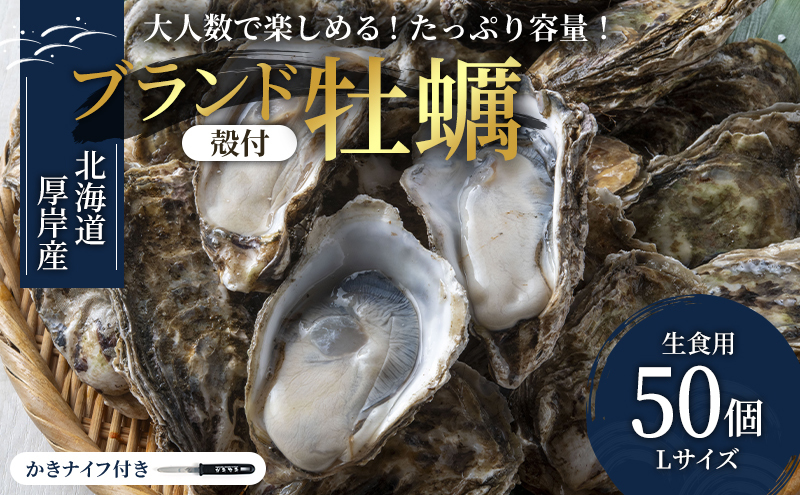 パーティー用 北海道 厚岸産牡蠣 Lサイズ50個入（目安：10人前） ふるさと納税 北海道 牡蠣 カキ かき 生食 生食用 生牡蠣 パーティー ミルク 魚貝類 殻付き牡蠣 シーフード 