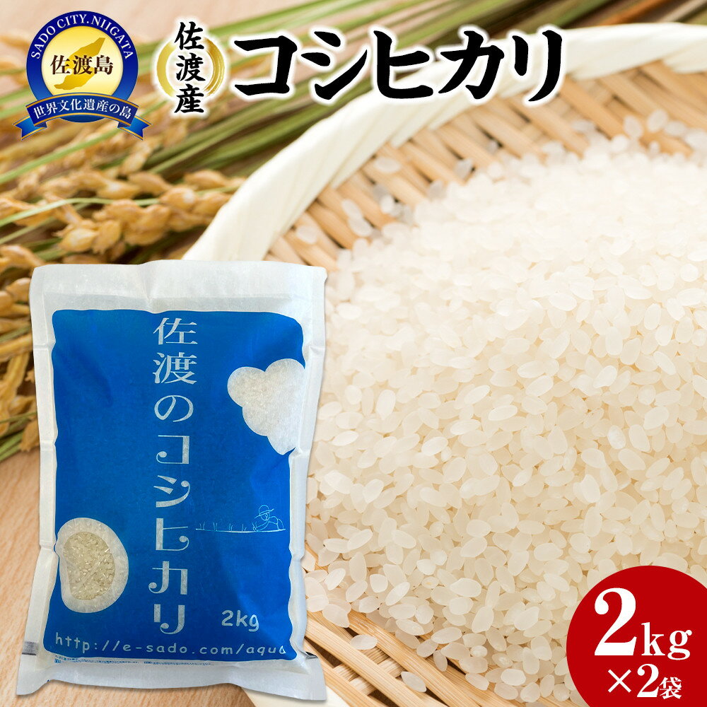 【ふるさと納税】【令和7年産】佐渡産コシヒカリ2kg×2袋 | 佐渡市 佐渡産コシヒカリ お米 こしひかり 旨味 ふっくら ご飯 炊き方 コク 通販 ふるさと納税 人気 おすすめ 送料無料