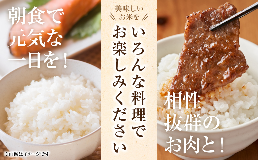 【先行予約】 【定期便6回】 【令和7年産】 熊本県八代市産 森のくまさん 農家のとっておき 5kg×6回 米 お米 精米  国産 白米 ごはん ご飯 【2025年11月上旬より順次発送】