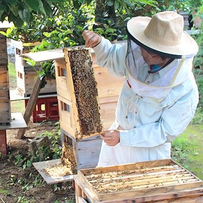 ふるさと納税 五霞町 月毎に楽しむ田舎はちみつ全7種プレミアムセット |  | 02