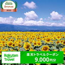 【ふるさと納税】山梨県北杜市の対象施設で使える楽天トラベルクーポン 寄付額30,000円 体験