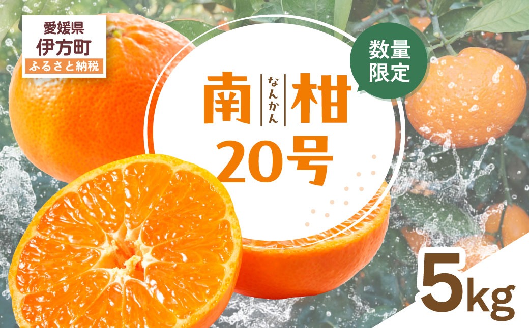 【先行受付】【数量限定】南柑20号（生果）5kg（2026年12月上旬頃より順次発送）IKTQ006