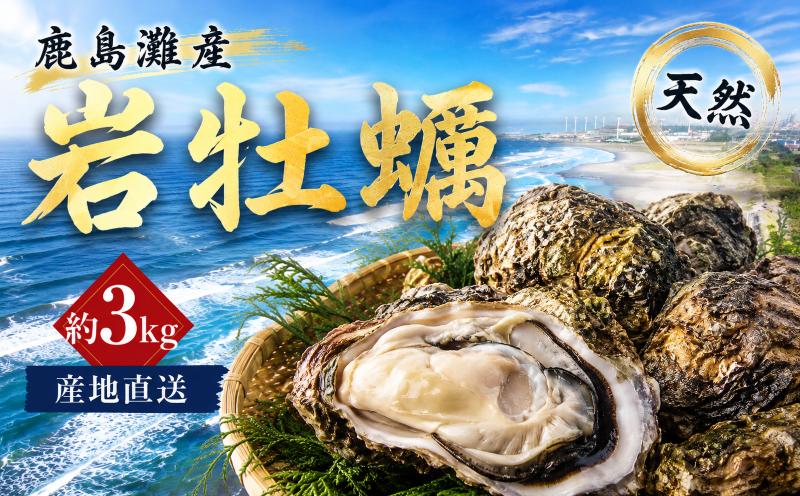 
                  鹿島灘産 岩牡蠣 約3kg 天然 小 中 大 生食用 殻付き 国産 かき 牡蠣 岩がき 生ガキ 貝 産地直送 冷蔵 お取り寄せ グルメ 期間限定 夏限定 濃厚 クリーミー 海鮮 魚介類 人気 おすすめ 美味しい シーフード アヒージョ カキフライ BBQ バーベキュー キャンプ 蒸し牡蠣 焼き牡蠣 ふるさと納税 茨城県 鹿嶋市 【9月下旬頃まで発送予定】
                
