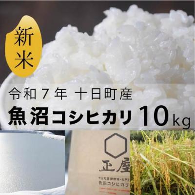 ふるさと納税 十日町市 魚沼コシヒカリ十日町産:10kg/甘みもっちり/農薬成分5割以上減(※栽培期間中地域慣行比)