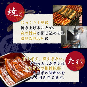 静岡 名産 うなぎ 蒲焼 7人前 840g〜 冷蔵 三島名物 老舗 うなぎ屋 真空パック 御殿川 土用丑の日 晩ごはん 家族 惣菜 鰻 ウナギ 蒲焼き うな重 ウナジュウ 贈り物 ギフト グルメ 鰻料