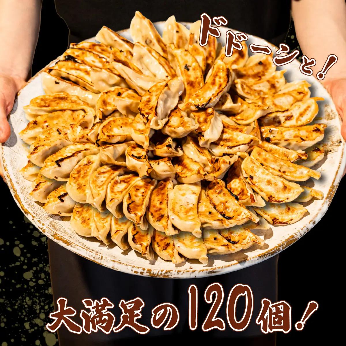 餃子 120個 ブランド豚 ローズポーク 餃子