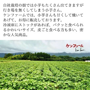A1-7001／【訳あり】蜜滴焼き芋（キズ・規格外（小さい芋））1kg【冷凍】