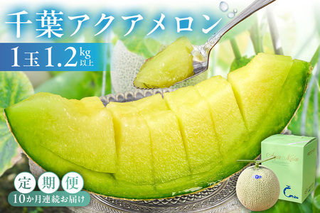 【定期便】【TVで紹介！】千葉アクアメロン1玉（1.2Kg）【10ヶ月連続お届け】 mi0018-0007