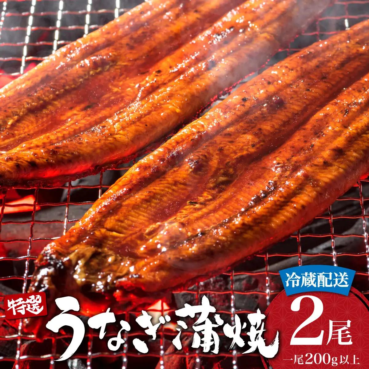 うなぎ蒲焼き 400g (200g×2尾) 