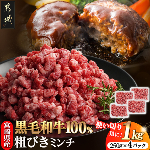 宮崎県産黒毛和牛100％ミンチ(250g×4P)_MJ-E9-003