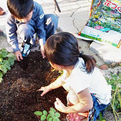 ふるさと納税 朝倉市 植物を知り尽くした造園やさんが作った培養土20L×3袋セット |  | 01