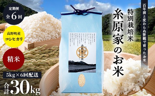 
                  新米 予約受付 R8年産【定期便 全6回】特別栽培米「糸原家のお米」高野町産 コシヒカリ 5キロ | 5kg×6回 合計30kg 6ヶ月 6ヵ月 6か月 精米 白米 お米 令和8年産
                