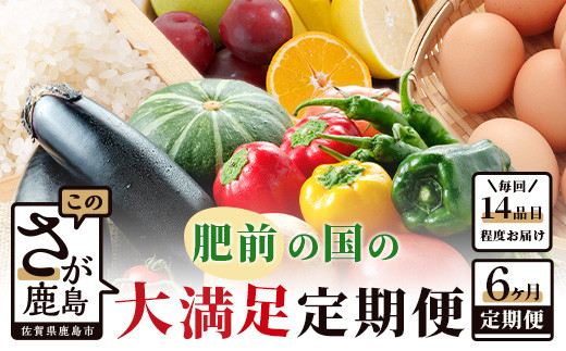 
H-10 【6ヶ月お届け】肥前の国の農産物 大満足定期便 【 野菜 卵 米 果物 新鮮 セット 詰め合わせ 定期便 産地直送 肥前 】
