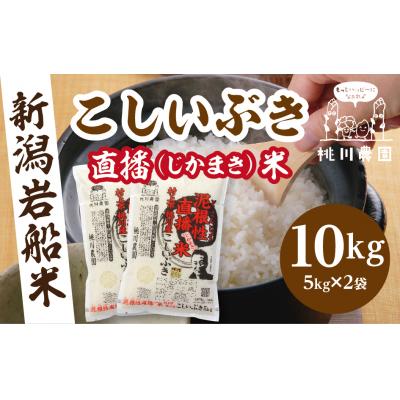 ふるさと納税 村上市 【令和8年産米】村上市桃川産　直播米　泥根性こしいぶき10kg　1040004