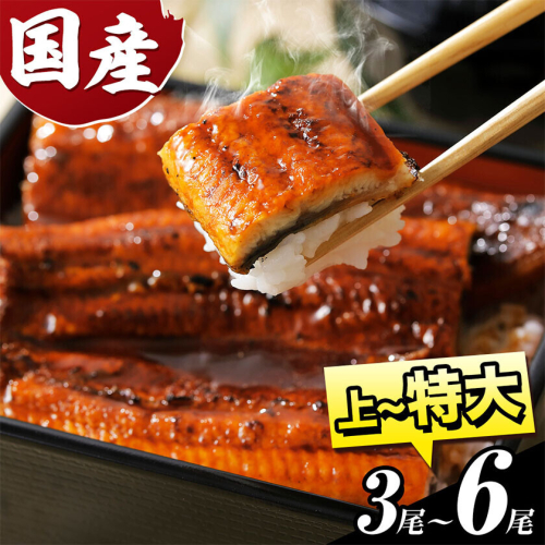 【スピード出荷！】うなぎ 国産 鰻の蒲焼 3尾～6尾＋ きざみうなぎ付 上～特上サイズ《3-7営業日以内に出荷》| うなぎの蒲焼き うなぎ 鰻 蒲焼 蒲焼き ウナギの蒲焼 徳島県産