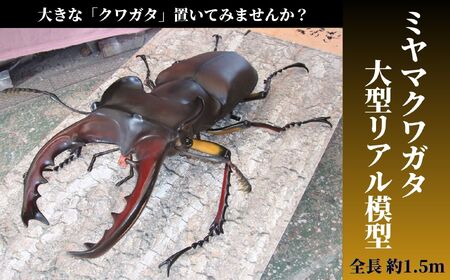ミヤマ クワガタ 大型 リアル 模型 クワガタ 昆虫 おもちゃ 飾り（透明ケース付）